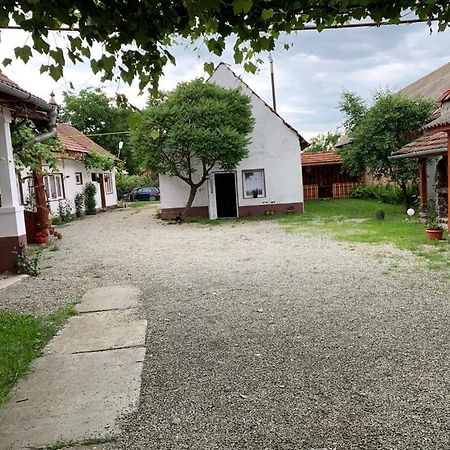 Casa Mari Otel Cîrţişoara Dış mekan fotoğraf