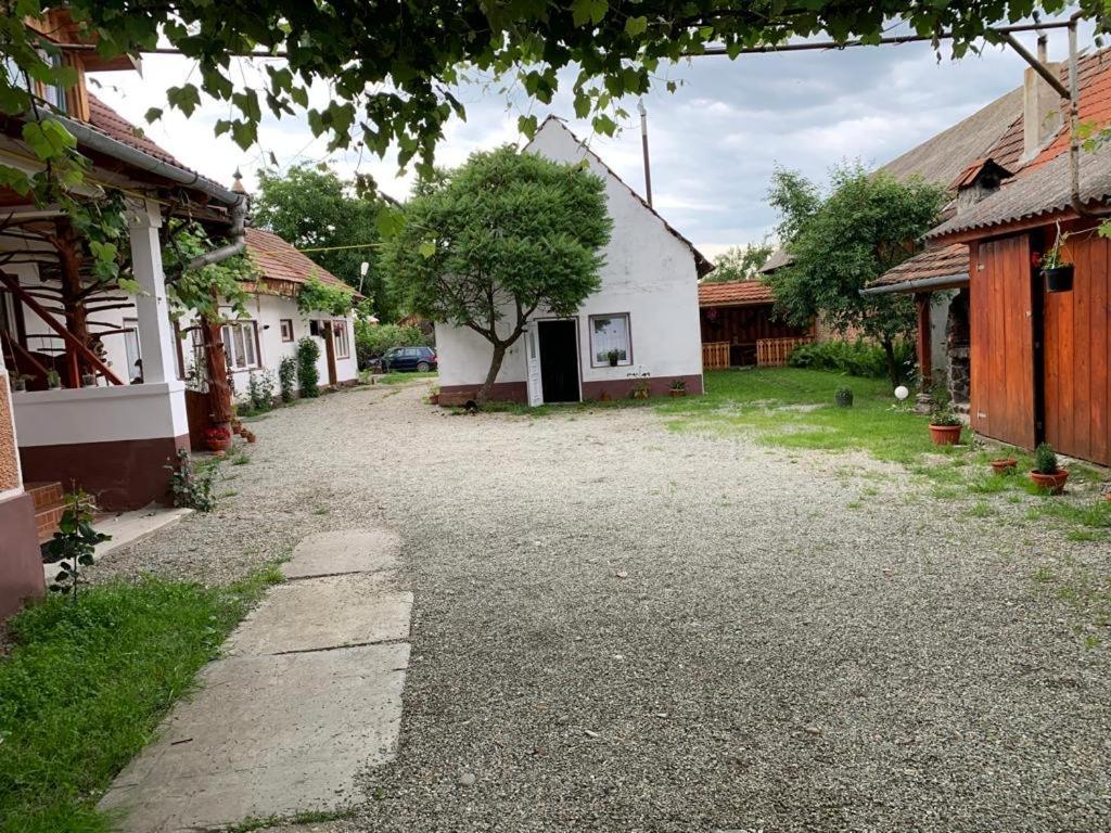 Casa Mari Otel Cîrţişoara Dış mekan fotoğraf
