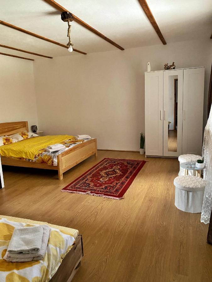 Casa Mari Otel Cîrţişoara Dış mekan fotoğraf