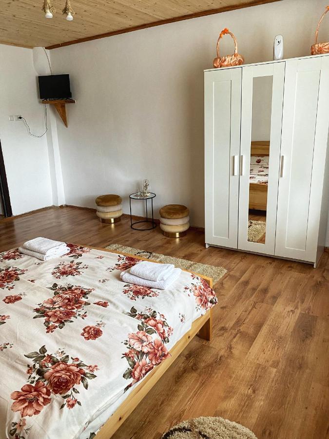 Casa Mari Otel Cîrţişoara Dış mekan fotoğraf